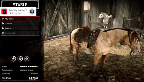 rare horses to catch in rdr2